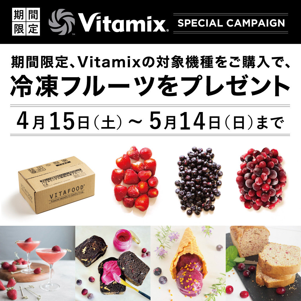 バイタミックス Vitamix 日本輸入総代理店 E310（VM0202 