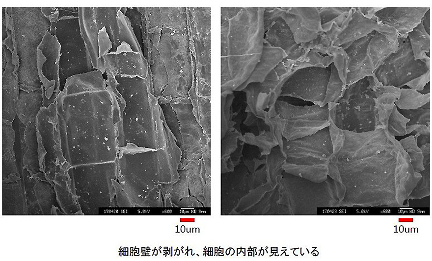 1日に必要な野菜350g、摂れてますか？