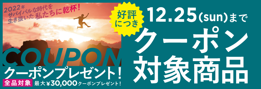 ウィルトン 口金 オープンスターチップ #14（星4mm） 418-14 wilton 通販