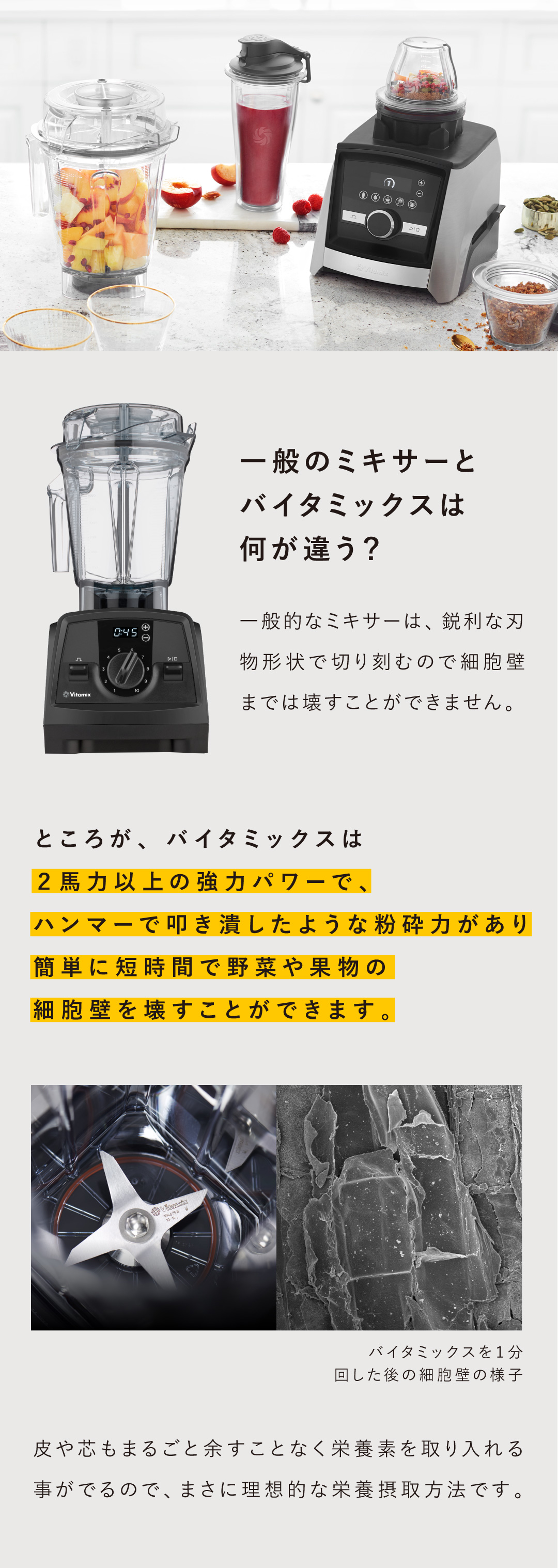 【医者がすすめるミキサー】なぜ白澤先生の推しはバイタミックスなのか？