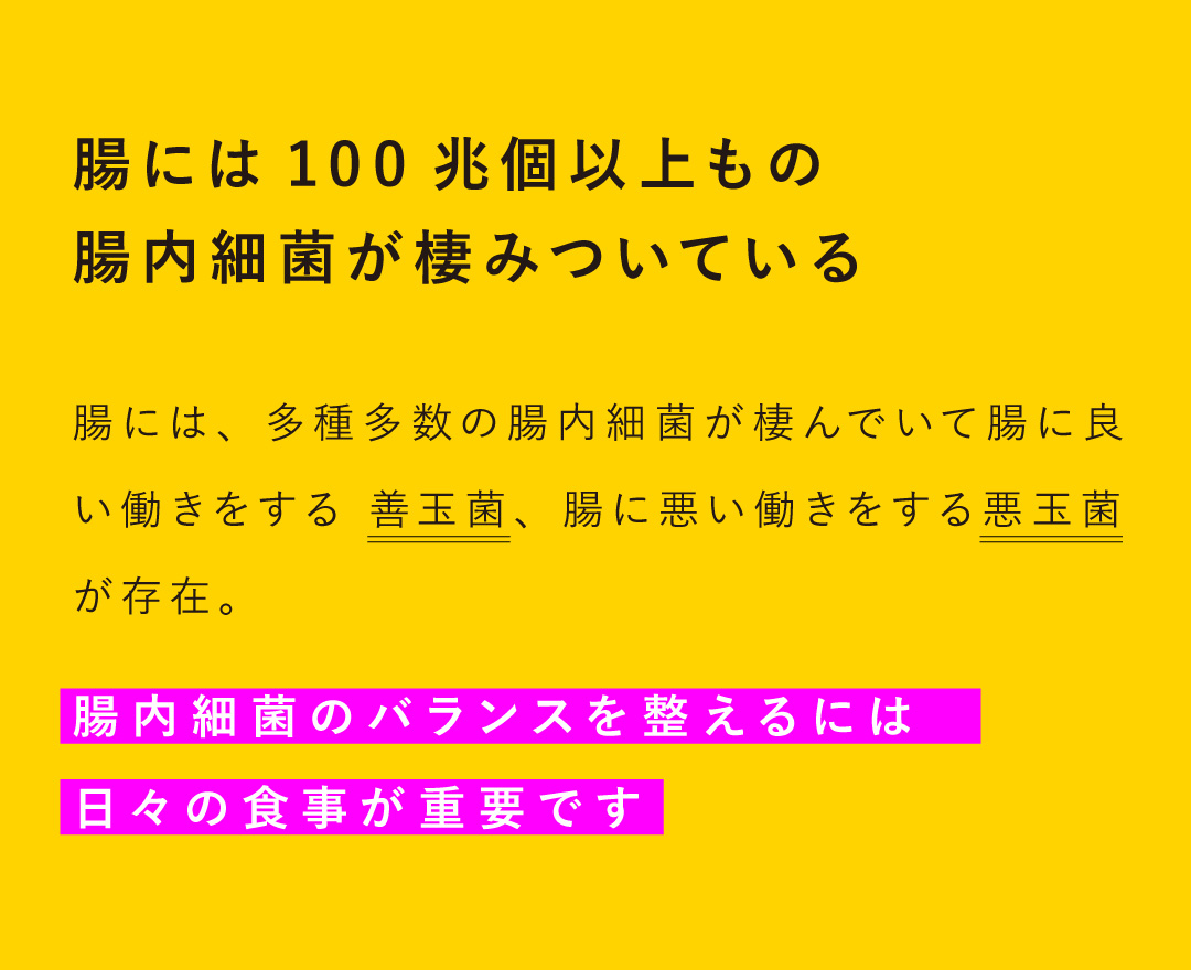 【発酵食品 × Viamix】腸を整えると人生が変わる！ポイントは善玉菌を増やす！！