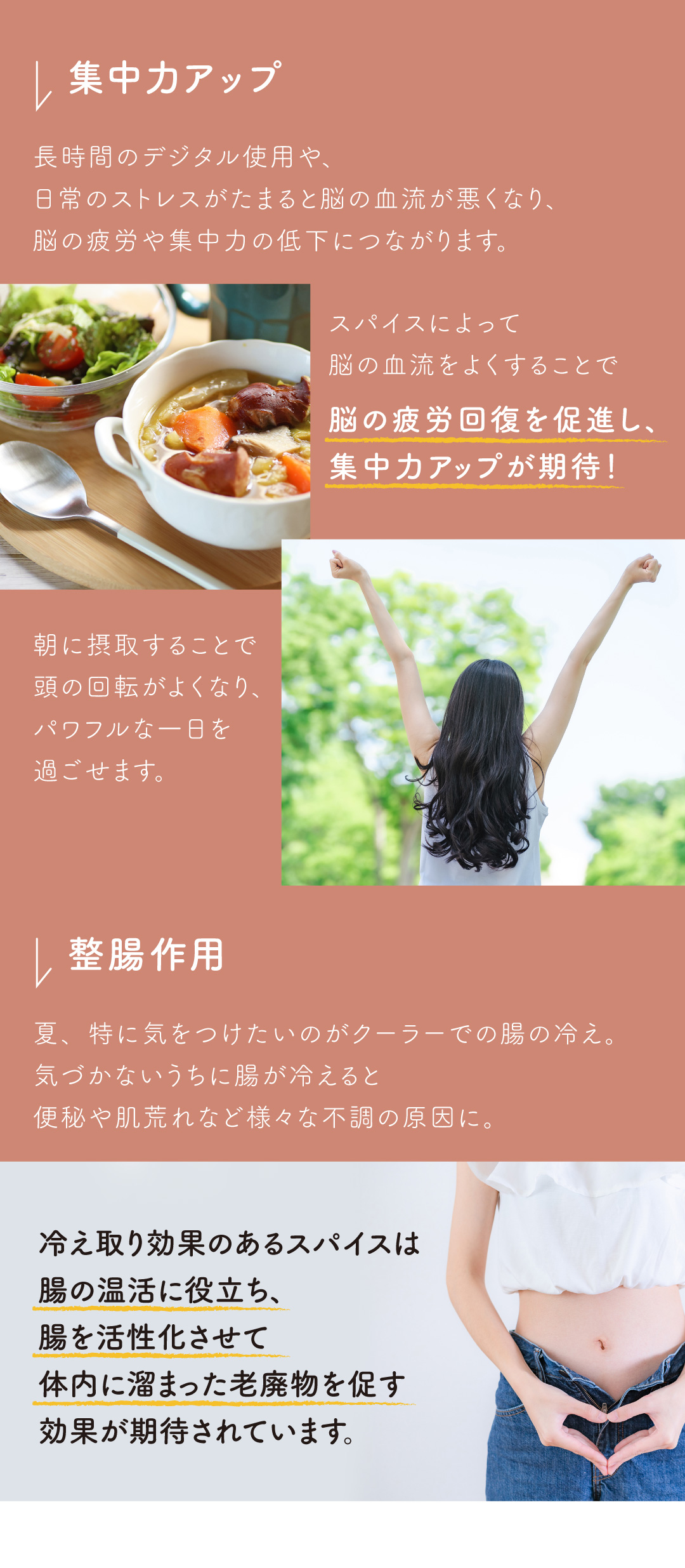 送料無料 いつまで オリジナルスパイスで手軽に健康増進！ 花束・切花