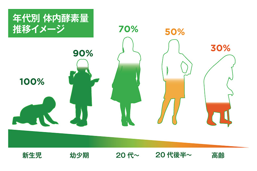 酵素は生のまま食物から“ローフード” 食生活