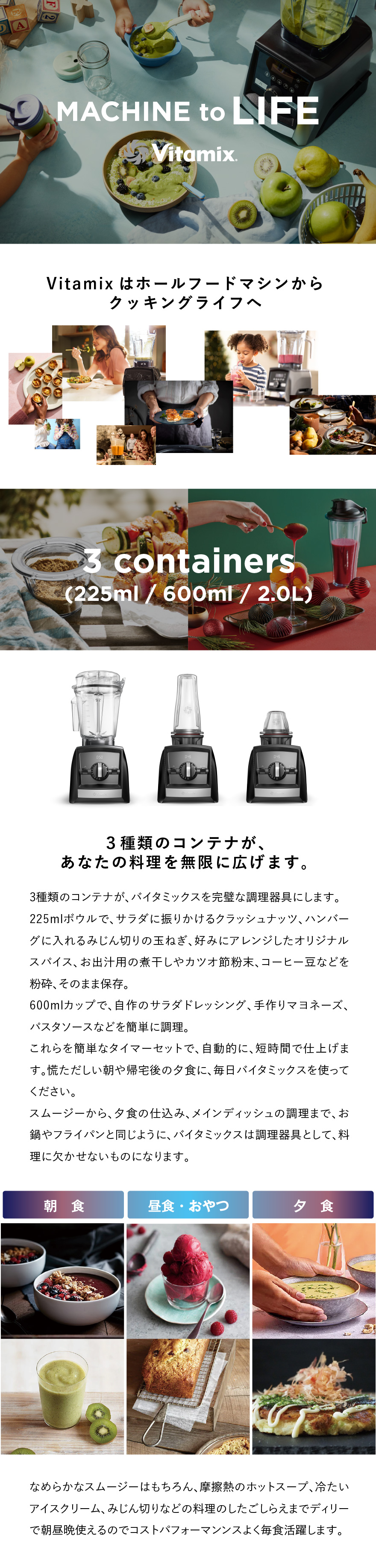 Vitamix renewal