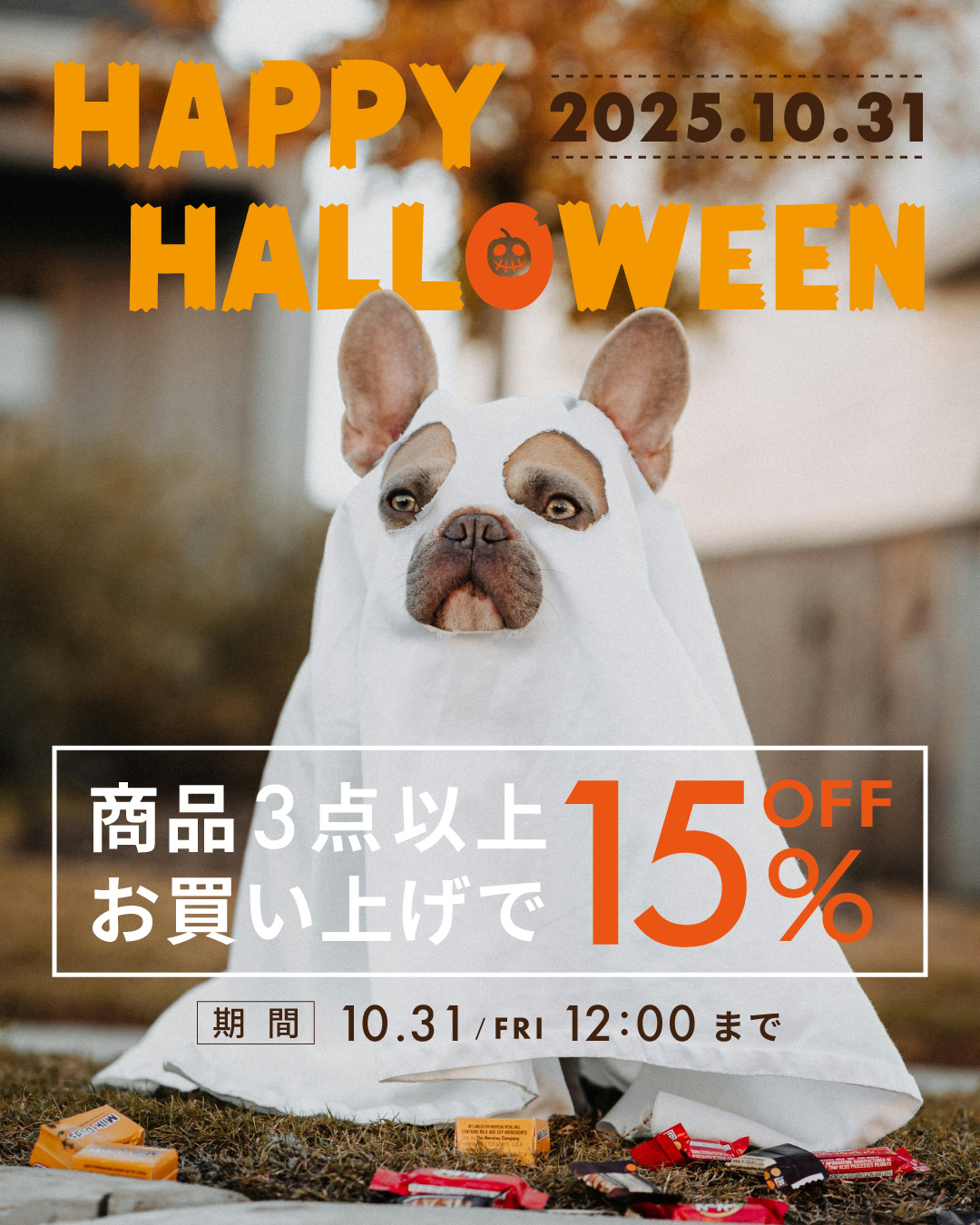 【キャンペーン】ハロウィン応援！3点以上お買い上げで15％OFF！