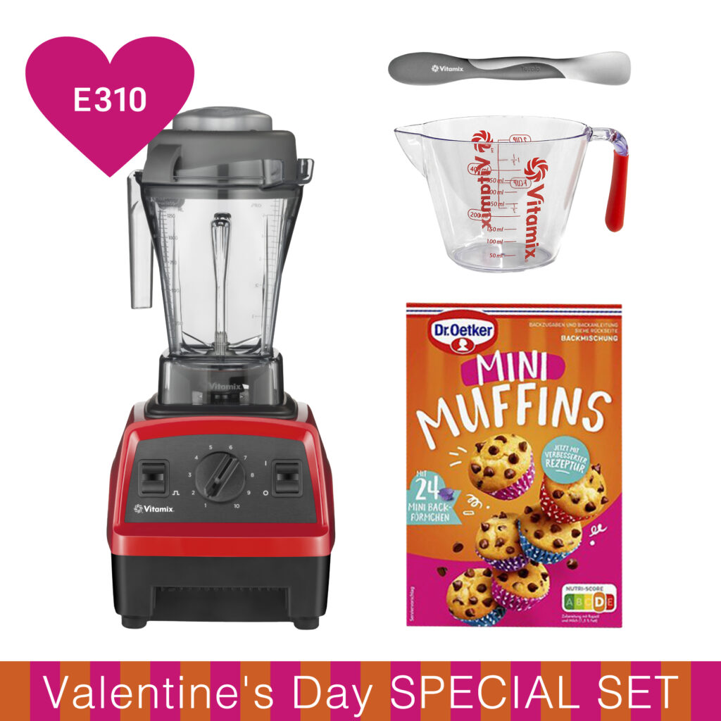 Vitamix E310 バレンタインスペシャルセット