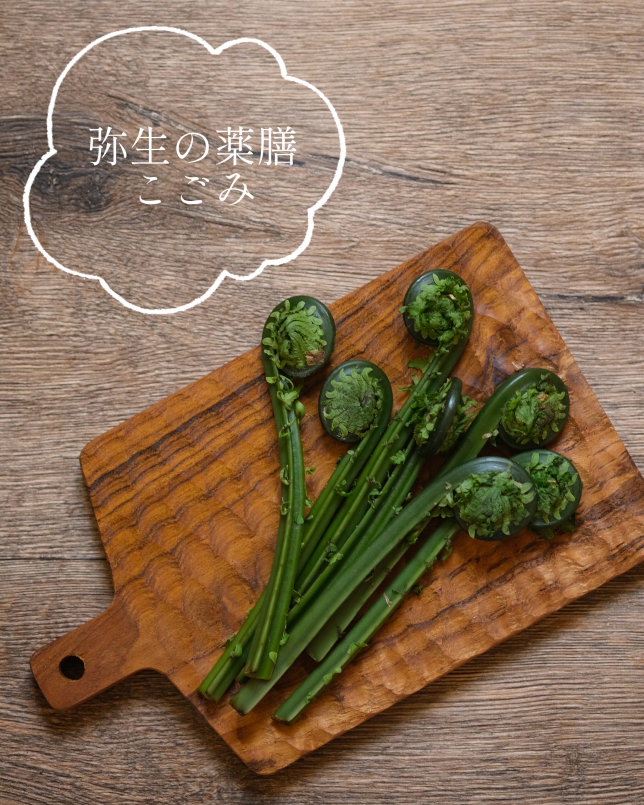 【弥生の薬膳】春の山菜「こごみ」で肌の熱感をクールダウン