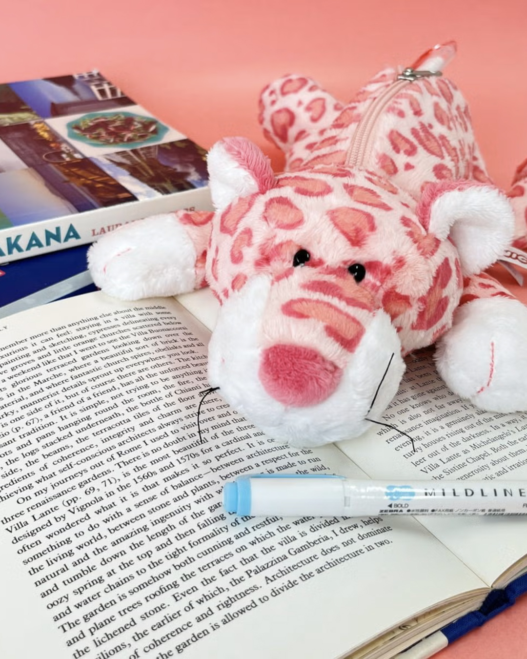 【NICI】メディア掲載情報｜nicola 2026年4月号