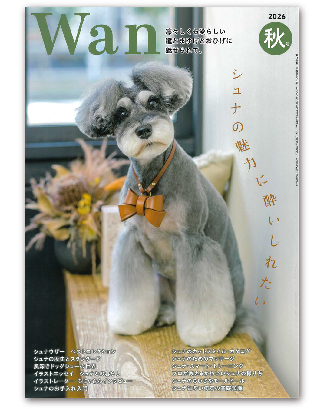 NICI】メディア掲載情報｜Wan 2026秋号 | Journal記事｜entresquare