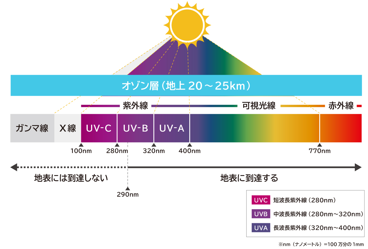 ウイルスキラー