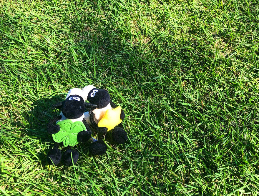 =キャンペーンは終了しました= Shaun the sheep　～ひつじのショーンとお出かけしよう♪～