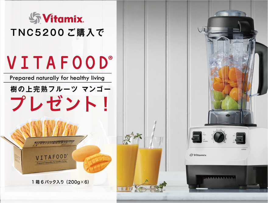 vitamix_vitafood2