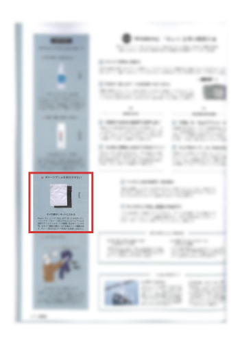 Rayen 雑誌掲載情報 Gisele 3月号 おしゃれで可愛いインテリア雑貨通販 アントレスクエア
