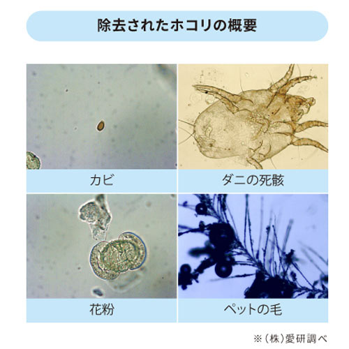 Ionic Breeze イオニックブリーズ 空気清浄機 フィルターレス 静か ペットのニオイ 消臭効果 カビ ダニ 花粉 アレルギー 除去 MIDI ミディ GRANDE グランデ イオニックリトル