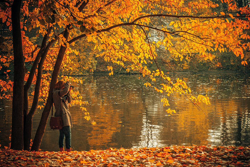 秋のおでかけ 紅葉狩り 紅葉見学 お散歩