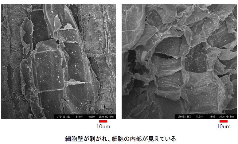 バイタミックスで糖尿病予防