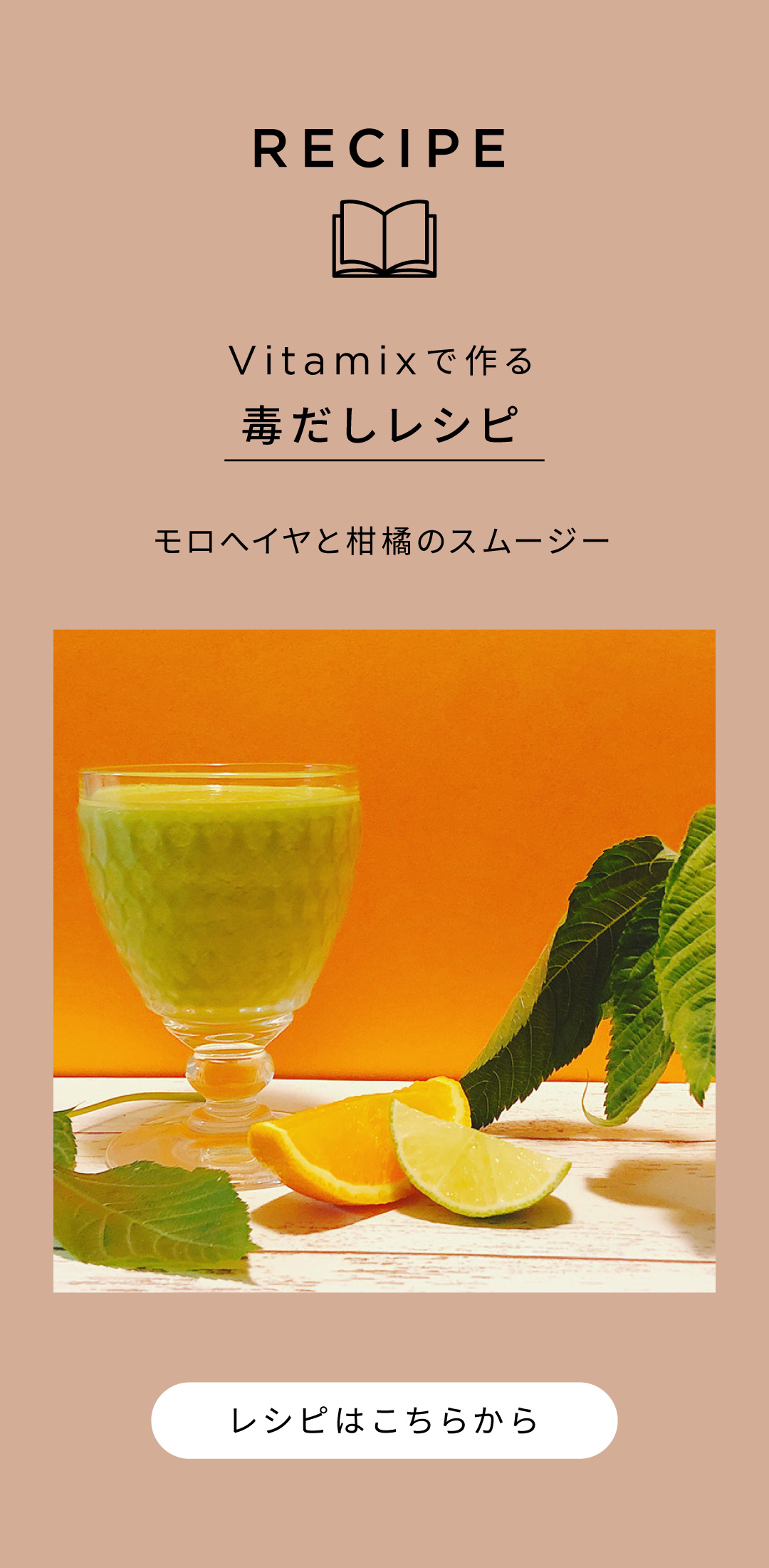 Vitamix 白澤先生コラム[薬のいらない体になる～酵素で糖尿病・高血圧症・認知症を防ぐ]